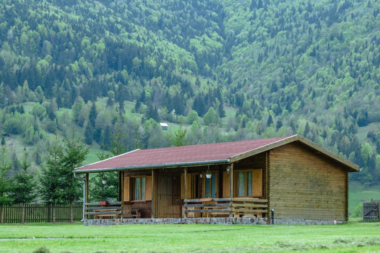 Biotour Camping & Restaurant Ghimeş-Făget Bagian luar foto